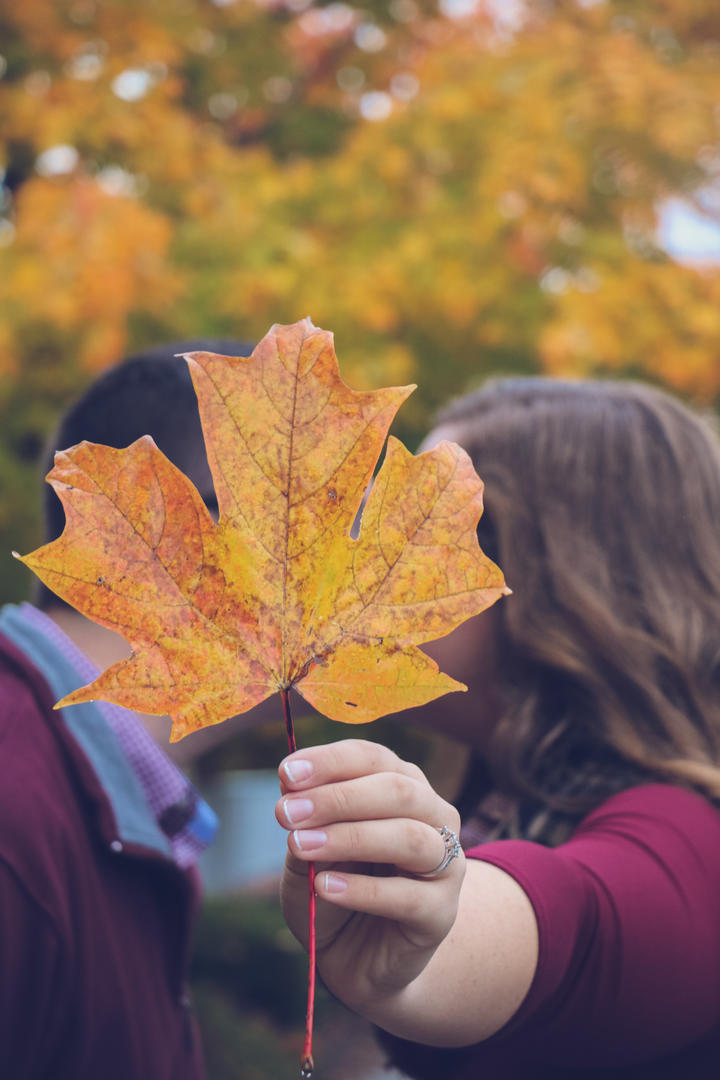 Haleigh and Sean kiss while Haleigh holds up a fallen maple leaf to cover their faces
